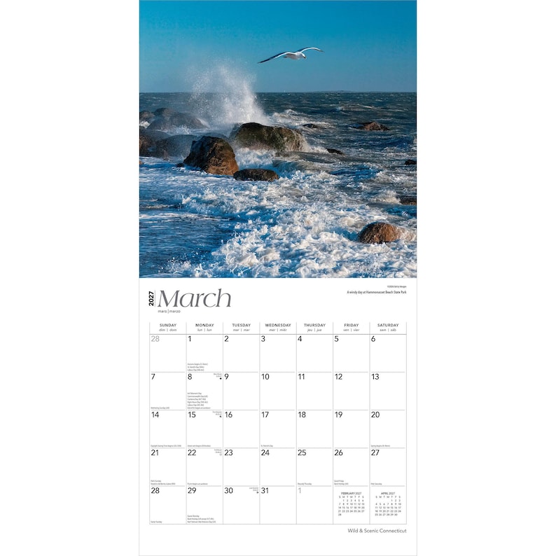 K&ouml;nnte beinhalten: Ein Wandkalender f&uuml;r M&auml;rz 2027 mit einem Foto einer M&ouml;we, die &uuml;ber dunkle Felsen und brechende Meereswellen fliegt. Das Kalenderraster zeigt die Tage des Monats mit schwarzem Text auf wei&szlig;em Hintergrund, einschlie&szlig;lich kleiner Kalenderansichten f&uuml;r Februar und April.