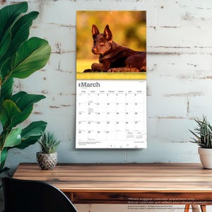 Puede incluir: Un calendario de pared para marzo de 2027 con una fotograf&iacute;a de un perro marr&oacute;n tumbado en un campo de hierba. La cuadr&iacute;cula del calendario muestra los d&iacute;as del mes en un dise&ntilde;o est&aacute;ndar con el texto March 2027 impreso en la parte superior.