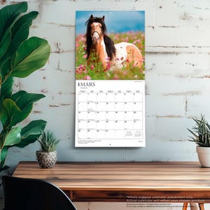May include: A wall calendar for March 2027 featuring a photograph of a brown and white pinto horse standing in a field of pink wildflowers. The calendar grid displays the days of the month with the text MARS and March printed at the top.
