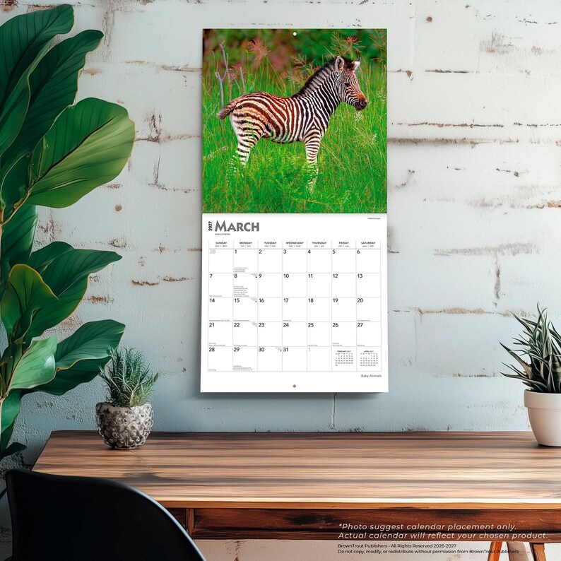 Pode incluir: Um calend&aacute;rio de parede para o m&ecirc;s de mar&ccedil;o de 2023 com uma fotografia de uma cria de zebra em p&eacute; na relva verde alta. A grelha do calend&aacute;rio apresenta os dias da semana e as datas em texto preto sobre um fundo branco, com um orif&iacute;cio.