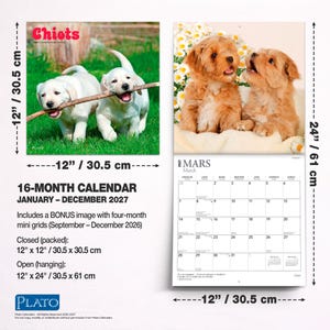 May include: A 16-month wall calendar for 2027 featuring puppy photography. The closed calendar measures 12 inches by 12 inches, and the open calendar measures 12 inches by 24 inches. It includes a bonus four-month mini grid for late 2026.