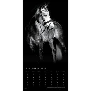 May include: A black and white wall calendar for September 2027 featuring a dappled horse wearing a bridle. The top section displays the horse against a dark background, while the bottom section shows the calendar grid with the month and year.