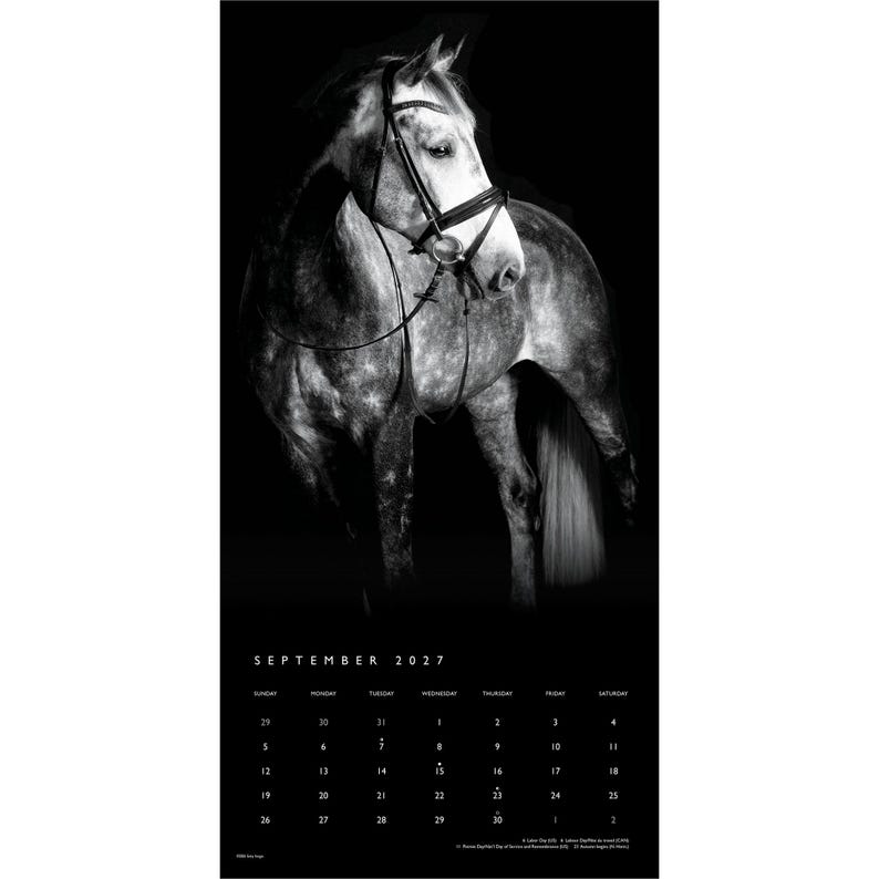 May include: A black and white wall calendar for September 2027 featuring a dappled horse wearing a bridle. The top section displays the horse against a dark background, while the bottom section shows the calendar grid with the month and year.