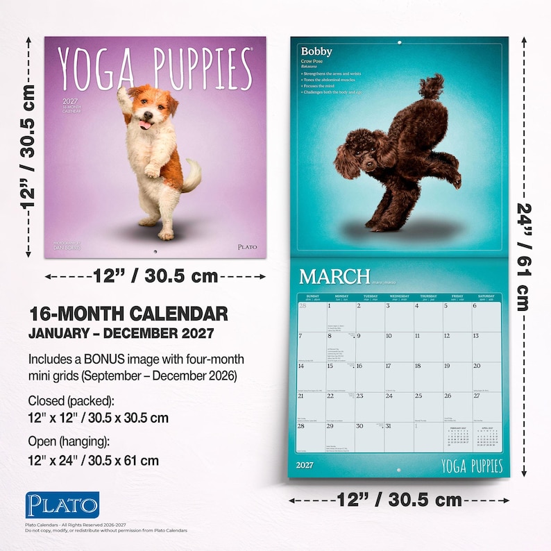 K&ouml;nnte beinhalten: Ein 16-monatiger Yoga Puppies Wandkalender f&uuml;r 2027, der geschlossen 30,5 cm x 30,5 cm und ge&ouml;ffnet 30,5 cm x 61 cm misst. Das Cover zeigt einen Welpen auf violettem Grund, w&auml;hrend die offene Seite einen braunen Pudel und ein M&auml;rz-Kalenderblatt zeigt.