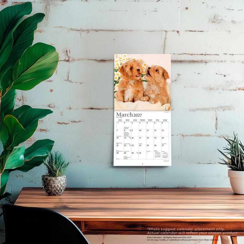Puede incluir: Un calendario de pared para marzo de 2027 con una fotograf&iacute;a de dos cachorros de color marr&oacute;n claro sentados entre margaritas blancas. La cuadr&iacute;cula del calendario muestra los d&iacute;as del mes con el texto March 2027 en la parte superior.
