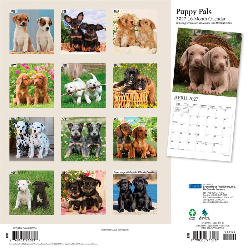 Puede incluir: Un calendario de pared de 16 meses para 2027 titulado Puppy Pals que presenta varios pares de cachorros para cada mes. La contraportada muestra una cuadr&iacute;cula de im&aacute;genes mensuales, una p&aacute;gina de muestra de abril de 2027, informaci&oacute;n del editor y un c&oacute;digo de barras.