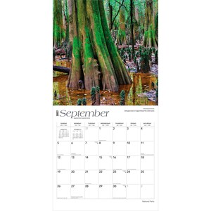 Puede incluir: Un calendario de 2027 con una fotograf&iacute;a de un pantano con &aacute;rboles grandes y musgo verde. El mes de septiembre se muestra con una cuadr&iacute;cula de calendario debajo. El calendario est&aacute; etiquetado como "Parques Nacionales".