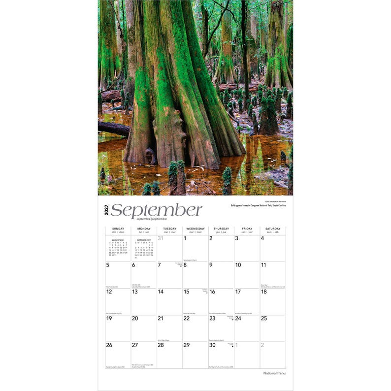 Puede incluir: Un calendario de 2027 con una fotograf&iacute;a de un pantano con &aacute;rboles grandes y musgo verde. El mes de septiembre se muestra con una cuadr&iacute;cula de calendario debajo. El calendario est&aacute; etiquetado como "Parques Nacionales".