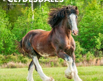 Clydesdales | 2026 12 x 24 Inch (Hanging) Monthly Square Wall Calendar | Plastic-Free | BrownTrout | Animals Horses