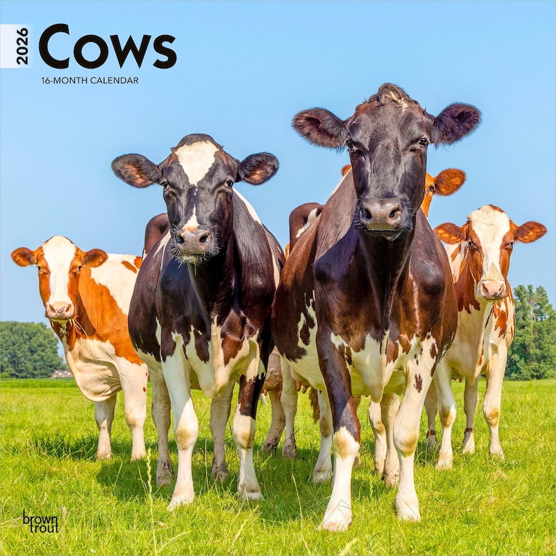 K&ouml;nnte beinhalten: Ein 2026 Cows 16-Monats-Kalender mit einer Gruppe von K&uuml;hen auf einer gr&uuml;nen Wiese unter blauem Himmel. Die K&uuml;he sind schwarz-wei&szlig; und braun-wei&szlig;. Der Kalender stammt von BrownTrout.