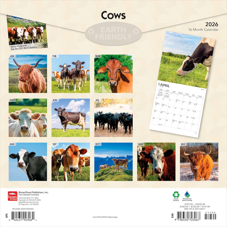K&ouml;nnte beinhalten: Ein 16-Monats-Kalender 2026 mit Bildern von K&uuml;hen. Der Kalender zeigt verschiedene Kuharten und Landschaften. Die Monate sind in einem Raster angeordnet. Der Kalender tr&auml;gt den Titel "Cows" und ist als "Earth Friendly" gekennzeichnet.