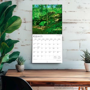 May include: A wall calendar showing a photograph of a natural rock archway in a forest setting. The calendar displays the month of March and a grid of dates. The calendar is hanging on a white brick wall.