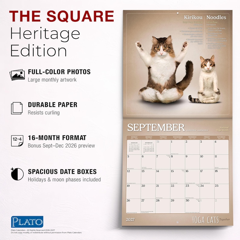 Yoga Cats Together OFFICIAL | 2027 12 x 24 Inch (Hanging) Monthly Square Wall Calendar | Plato | Animals Humor Pets bild 6