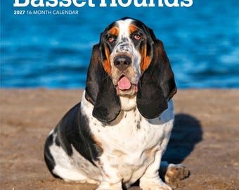 Basset Hounds | 2027 7 x 14 Inch (Hanging) Monthly Mini Wall Calendar | BrownTrout | Animals Dog Breeds