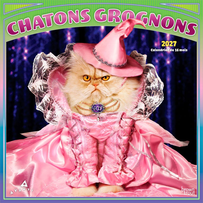 May include: A 2027 16-month calendar titled CHATONS GROGNONS featuring a fluffy cat wearing a pink satin dress, a matching pointed hat, and a lace collar. The cat wears a necklace with the word JOY. The background is a dark purple curtain.