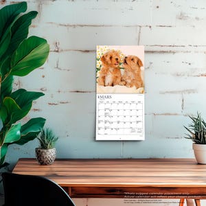May include: A wall calendar for the month of March featuring a photograph of two light brown puppies sitting among white daisies. The calendar grid displays the month name MARS and March, with numbered dates from 1 to 31 in a standard layout.