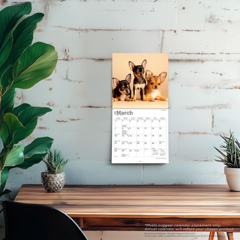 Puede incluir: Un calendario de pared para el mes de marzo con una fotograf&iacute;a de tres perros Chihuahua peque&ntilde;os sobre un fondo de color tostado claro. La cuadr&iacute;cula del calendario muestra los d&iacute;as del mes con el t&iacute;tulo March impreso en negro arriba.