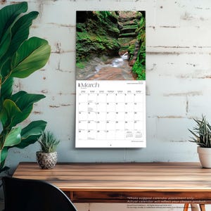 May include: A wall calendar for March 2025 featuring a photograph of a narrow, moss-covered rocky gorge with a flowing stream. The calendar grid displays the days of the month, with small reference calendars for February and April 2025 below.