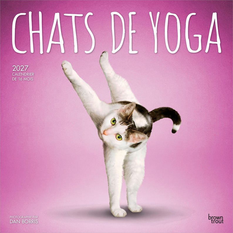 Pu&ograve; includere: Un calendario di 16 mesi per il 2027 intitolato CHATS DE YOGA che mostra un gatto bianco e grigio in una posa yoga su uno sfondo rosa a tinta unita. La copertina include il testo 2027 CALENDRIER DE 16 MOIS, PHOTOGRAPHIE PAR DAN BORRIS e il logo brown trout.