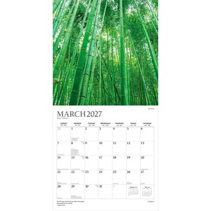 May include: A wall calendar for March 2027 featuring a vertical photograph of a dense bamboo forest with tall green stalks reaching toward the sky. The calendar grid displays the days of the month with Sunday through Saturday headers in black text.
