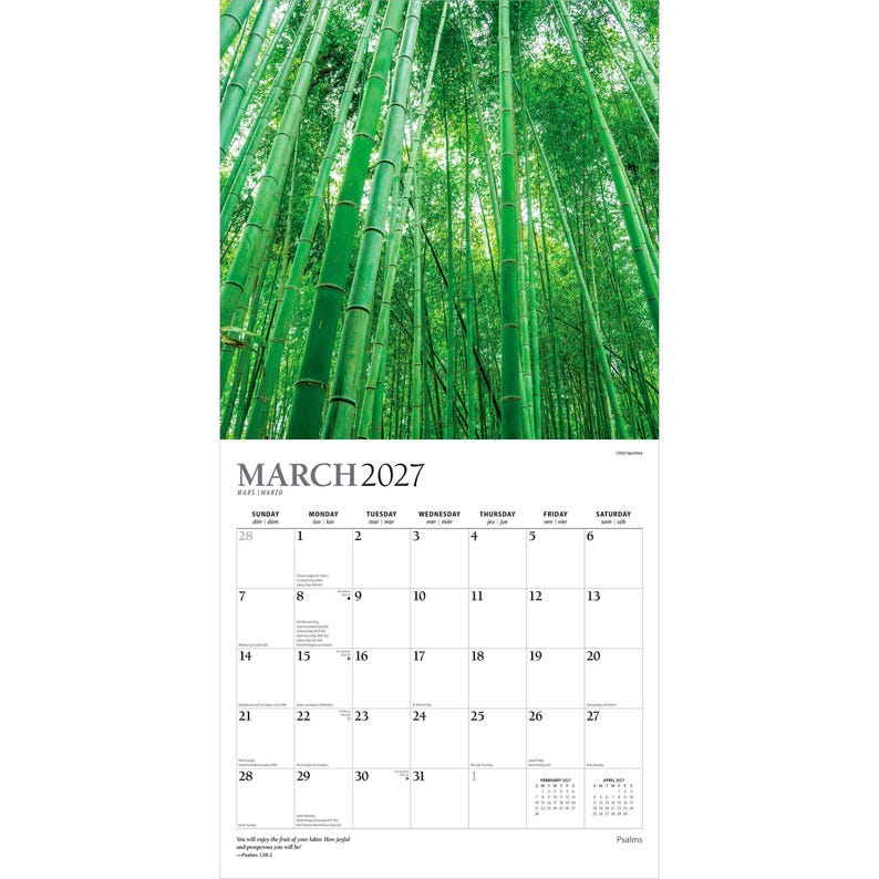 May include: A wall calendar for March 2027 featuring a vertical photograph of a dense bamboo forest with tall green stalks reaching toward the sky. The calendar grid displays the days of the month with Sunday through Saturday headers in black text.