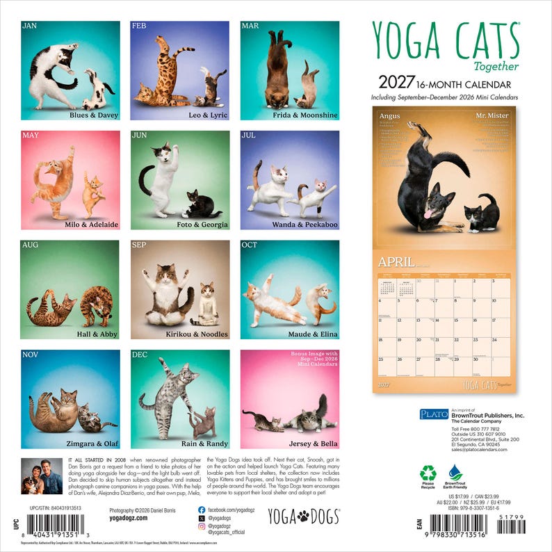 Yoga Cats Together OFFICIAL | 2027 12 x 24 Inch (Hanging) Monthly Square Wall Calendar | Plato | Animals Humor Pets bild 2