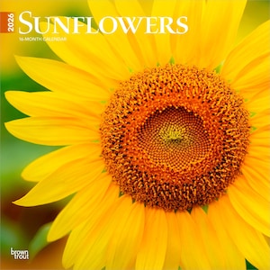 Sunflowers | 2026 12 x 24 Inch (Hanging) Monthly Square Wall Calendar | Plastic-Free | BrownTrout | Flower Floral Plant Outdoor Nature