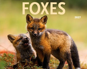 Canadian Geographic Foxes OFFICIAL | 2027 12 x 24 Inch (Hanging) Monthly Square Wall Calendar | Wyman Publishing | Wildlife Animals Nature