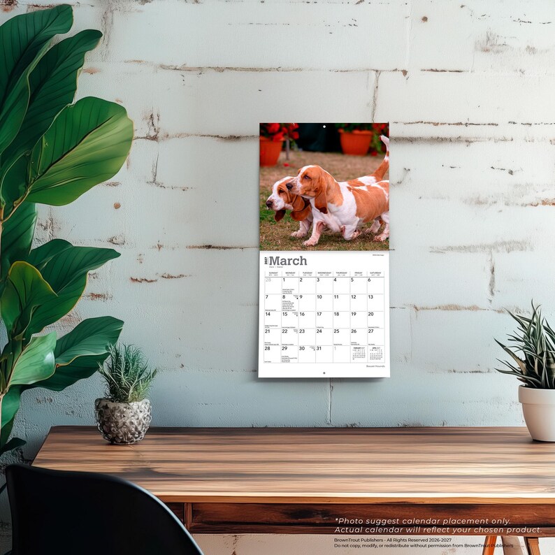 Puede incluir: Un calendario de pared para el mes de marzo con una fotograf&iacute;a de dos cachorros de Basset Hound marrones y blancos de pie sobre la hierba. La cuadr&iacute;cula del calendario muestra los d&iacute;as del mes con el encabezado March impreso en la parte superior.
