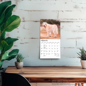May include: A wall calendar for the month of March featuring a photograph of a light-colored golden retriever standing on a dirt path. The calendar grid displays the days of the month with the header March clearly printed at the top of the page.