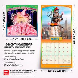 May include: A 16-month 2027 wall calendar titled Chatons Grognons, measuring 12 inches by 12 inches closed and 12 inches by 24 inches open. The cover features a cat in a pink witch costume, while the open page shows a cat in a jetpack over a city.