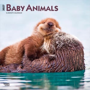 Pode incluir: Um calend&aacute;rio de 16 meses para 2027 intitulado Baby Animals com uma fotografia de um filhote de lontra marinha castanho descansando nas costas de uma lontra adulta em &aacute;gua turquesa. O texto 2027 Baby Animals 16-Month Calendar e o log&oacute;tipo Brown Trout s&atilde;o vis&iacute;veis.
