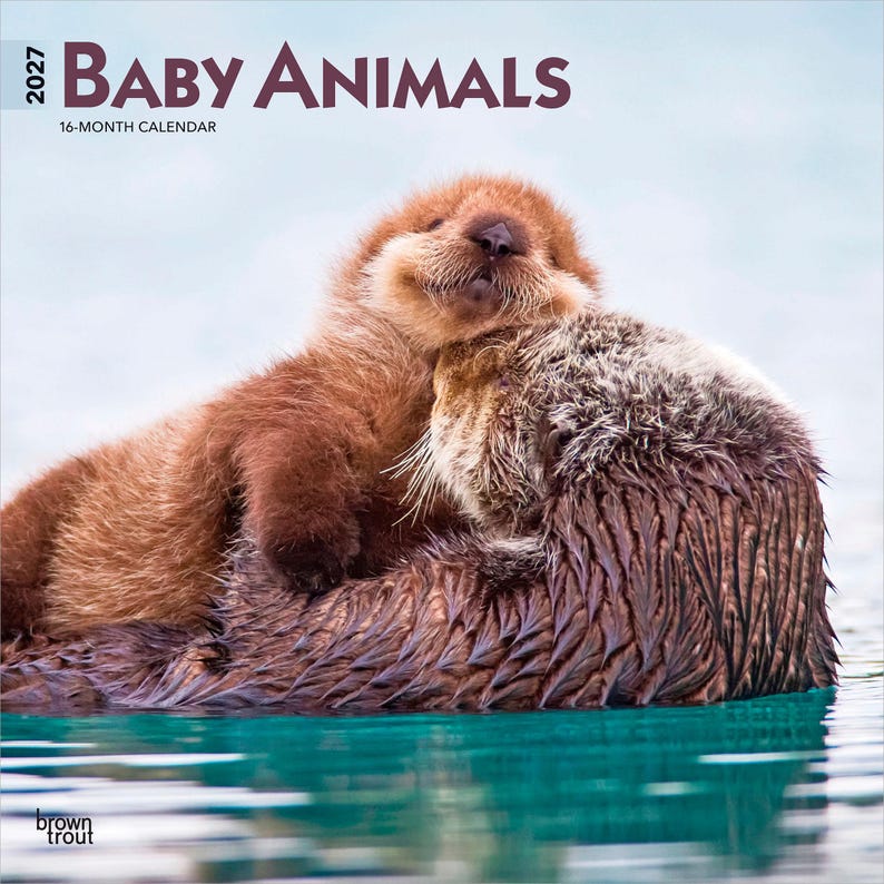 Pode incluir: Um calend&aacute;rio de 16 meses para 2027 intitulado Baby Animals com uma fotografia de um filhote de lontra marinha castanho descansando nas costas de uma lontra adulta em &aacute;gua turquesa. O texto 2027 Baby Animals 16-Month Calendar e o log&oacute;tipo Brown Trout s&atilde;o vis&iacute;veis.