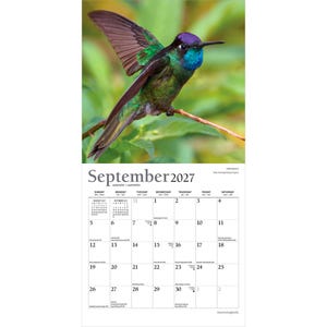 K&ouml;nnte beinhalten: Ein Wandkalender f&uuml;r September 2027 mit einer Fotografie eines Kolibris mit schillerndem violettem und gr&uuml;nem Gefieder, der auf einem d&uuml;nnen braunen Zweig sitzt. Das Kalenderraster zeigt Monat, Jahr und Daten mit kleinem Text f&uuml;r Feiertage.