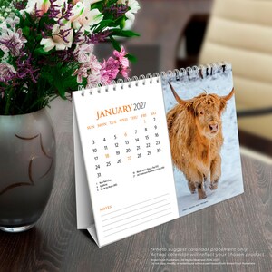 May include: A spiral-bound desk calendar for January 2027 featuring a photograph of a shaggy Highland cow standing in the snow. The calendar page displays the month, dates, and holidays in orange and black text, with a section for notes at the bottom.
