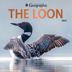 Calendario de pared mensual cuadrado Canadian Geographic The Loon OFICIAL / 2027, 30 x 60 cm (para colgar) / Cubierta con estampado metalizado / Wyman Publishing