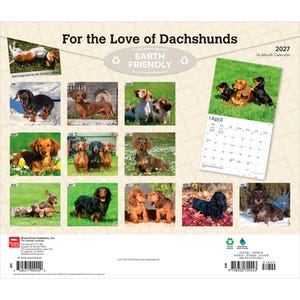 Pu&ograve; includere: Un calendario da parete di 16 mesi per il 2027 intitolato For the Love of Dachshunds. La copertina presenta dodici fotografie distinte di bassotti in vari ambienti, tra cui erba, neve e foglie autunnali, con un'anteprima della pagina di aprile.