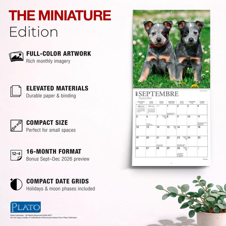 May include: A wall calendar titled The Miniature Edition featuring a photograph of two blue heeler puppies in grass. The calendar page shows the month of September 2027 with a grid of dates, holidays, and moon phases. Text includes features like full-color artwork, elevated materials, compact size, 16-month format, and compact date grids.