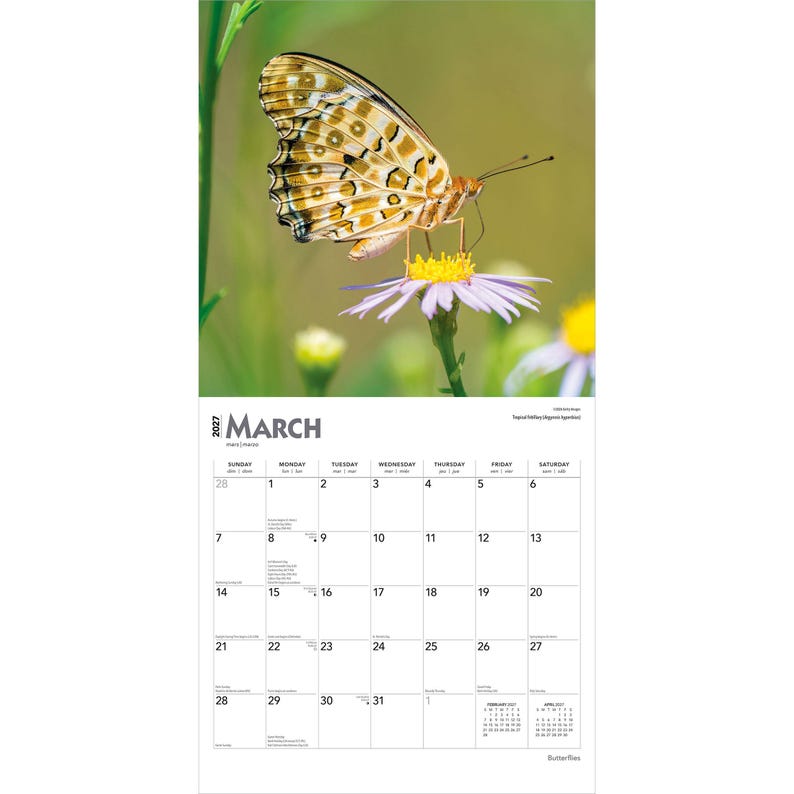 Puede incluir: Un calendario de pared para marzo de 2027 con una fotograf&iacute;a de una mariposa con patrones marrones y naranjas posada sobre una flor de color violeta claro con centro amarillo. La cuadr&iacute;cula muestra las fechas del 1 al 31 en texto negro.