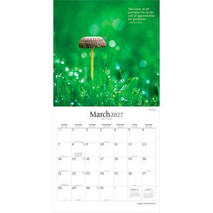 Pode incluir: Um calend&aacute;rio de parede para mar&ccedil;o de 2027 com uma fotografia de um cogumelo na relva verde com gotas de orvalho. O texto diz: The roots of all goodness lie in the soil of appreciation for goodness. -Dalai Lama. A grelha mostra as datas 1-31.