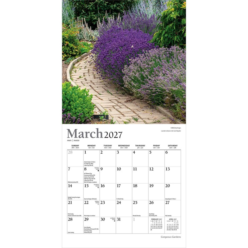 Pu&ograve; includere: Un calendario da parete per marzo 2027 con una fotografia di un sentiero da giardino in mattoni curvo fiancheggiato da vivaci cespugli di lavanda viola e fogliame verde. La griglia del calendario mostra i giorni del mese con date e testi.