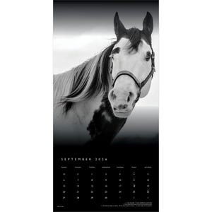 May include: Black and white calendar featuring a close-up of a horse's head. The horse has a white face with black markings and a dark bridle. The calendar displays the month of September 2026 with dates.