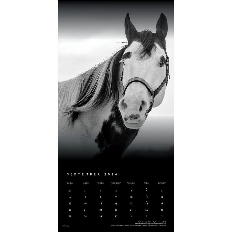 May include: Black and white calendar featuring a close-up of a horse's head. The horse has a white face with black markings and a dark bridle. The calendar displays the month of September 2026 with dates.