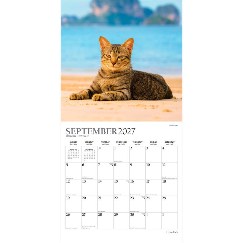 May include: A wall calendar for September 2027 featuring a photograph of a brown tabby cat lying on a sandy beach with blue water and distant hills in the background. The calendar grid displays the month, year, and days of the week in black text.