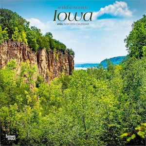 May include: A 2026 16-month calendar with a scenic Iowa landscape. The image displays a vibrant green forest, a tall rock cliff, and a blue sky with clouds. The words "wild & scenic" and "Iowa" are printed at the top of the calendar.
