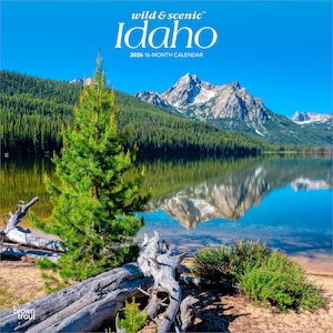 Idaho Wild & Scenic | 2026 12 x 24 Inch (Hanging) Monthly Square Wall Calendar | Plastic-Free | BrownTrout | America Rocky Mountain Nature