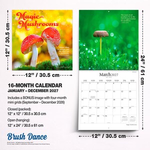 Pode incluir: Um calend&aacute;rio de parede de 16 meses intitulado Magic Mushrooms, com fotografias de cogumelos vermelhos e brancos. Mede 30,5 cm por 30,5 cm fechado e 30,5 cm por 61 cm aberto. Inclui uma grelha para mar&ccedil;o de 2027 e mini grelhas para 2026.