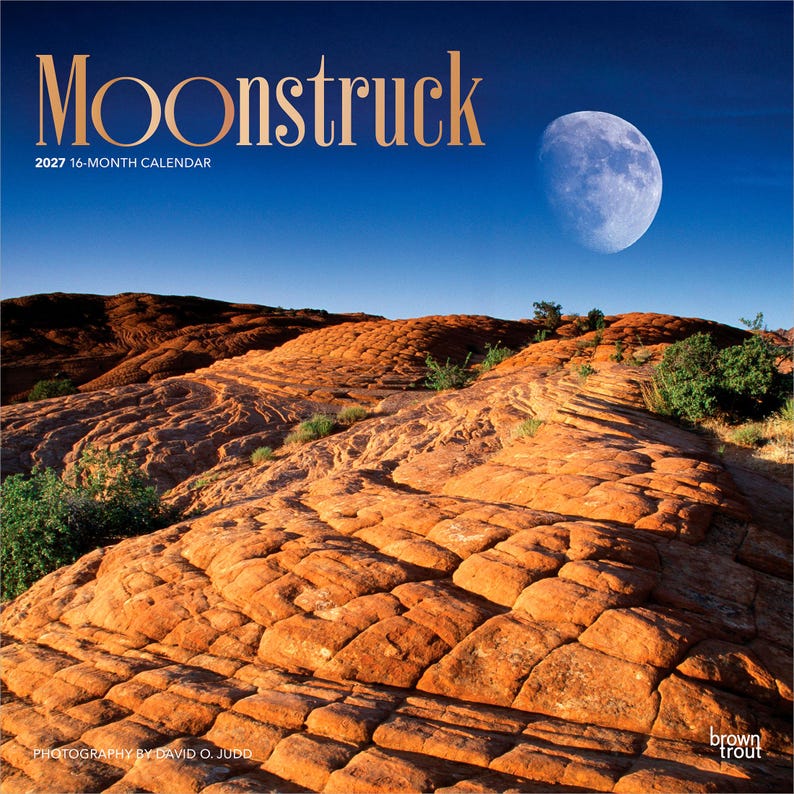 May include: A 2027 16-month calendar titled Moonstruck featuring a photograph of a bright moon in a deep blue sky above a landscape of textured orange sandstone rock formations with small green shrubs scattered across the terrain.