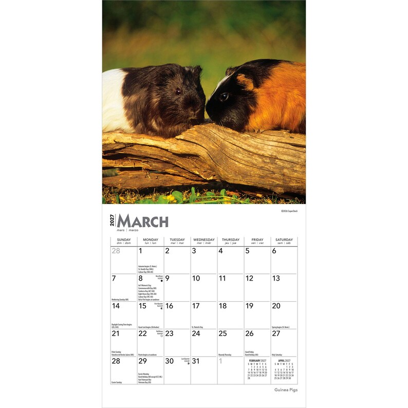 May include: A 2027 wall calendar for the month of March featuring a photograph of two guinea pigs resting on a wooden log. One guinea pig is black and white, while the other is black and orange. The calendar grid displays dates and text.