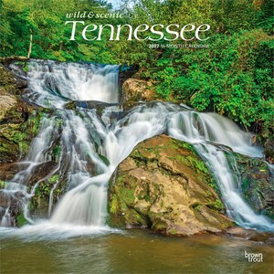 Puede incluir: Un calendario de 16 meses para 2027 titulado Wild & Scenic Tennessee que presenta una fotografía de una cascada de varios niveles sobre rocas cubiertas de musgo rodeadas de un bosque verde, con el logo de BrownTrout en la esquina inferior derecha.